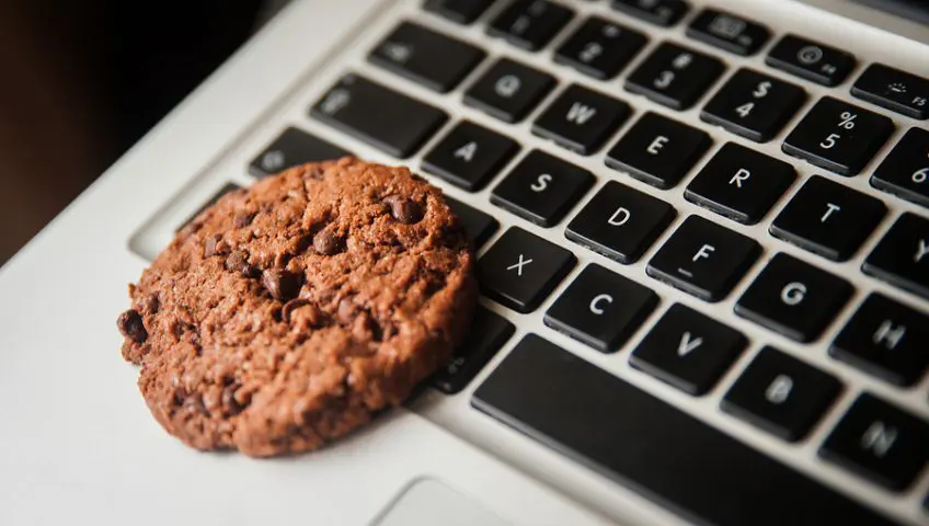 Apa Itu Cookies? Kenali Pengertian, Jenis, & Fungsinya (sumber: CRU Solutions)